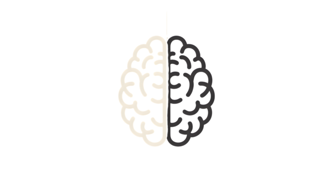 Stylized outline of a human brain divided into two halves with distinct textures representing different functions or states isolated on transparent background