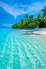 Tropical island beach landscape exotic shore coast. Tranquil closeup calm sea water waves with palm trees. Beautiful Panorama. Summer vacation, holiday amazing nature. Relax paradise, Maldives.