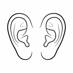 vector illustration of an ear with a white background 
