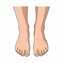 vector illustration of a pair of feet with a white background 