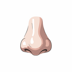 vector illustration of a nose with a white background 