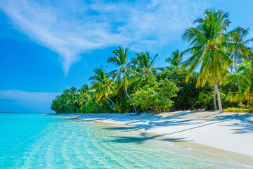 Tropical island beach landscape exotic shore coast. Tranquil closeup calm sea water waves with palm trees. Beautiful Panorama. Summer vacation, holiday amazing nature. Relax paradise, Maldives.