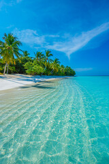 Summer vacation, holiday amazing nature. Relax paradise, Maldives. Tropical island beach landscape exotic shore coast. Tranquil closeup calm sea water waves with palm trees. Beautiful Panorama. 