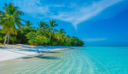 Summer vacation, holiday amazing nature. Relax paradise, Maldives. Tropical island beach landscape exotic shore coast. Tranquil closeup calm sea water waves with palm trees. Beautiful Panorama.