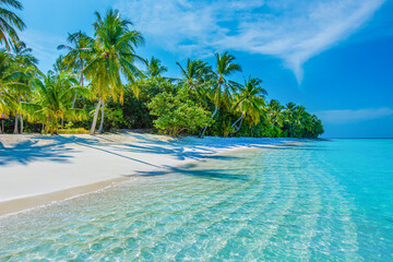 Tropical island beach landscape exotic shore coast. Tranquil closeup calm sea water waves with palm trees. Beautiful Panorama. Summer vacation, holiday amazing nature. Relax paradise, Maldives.