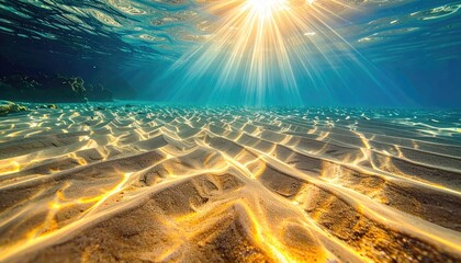 Golden Meadow Wildflowers Blooming Under Soft Light and Gentle Shadows