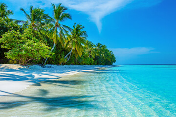 Tranquil closeup calm sea water waves with palm trees. Beautiful Panorama. Tropical island beach landscape exotic shore coast. Summer vacation, holiday amazing nature. Relax paradise, Maldives.