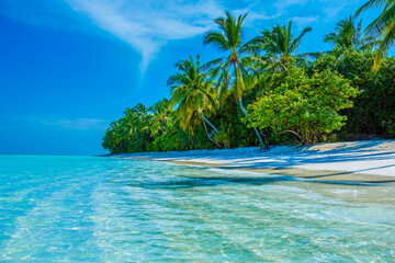 Tropical island beach landscape exotic shore coast. Tranquil closeup calm sea water waves with palm trees. Beautiful Panorama. Summer vacation, holiday amazing nature. Relax paradise, Maldives.