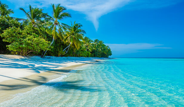 Tranquil closeup calm sea water waves with palm trees. Beautiful Panorama. Tropical island beach landscape exotic shore coast. Summer vacation, holiday amazing nature. Relax paradise, Maldives.