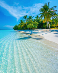 Tropical island beach landscape exotic shore coast. Tranquil closeup calm sea water waves with palm trees. Beautiful Panorama. Summer vacation, holiday amazing nature. Relax paradise, Maldives.