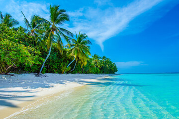 Tranquil closeup calm sea water waves with palm trees. Beautiful Panorama. Tropical island beach landscape exotic shore coast. Summer vacation, holiday amazing nature. Relax paradise, Maldives.