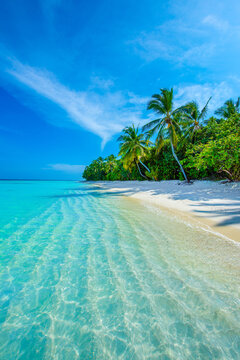 Tropical island beach landscape exotic shore coast. Tranquil closeup calm sea water waves with palm trees. Beautiful Panorama. Summer vacation, holiday amazing nature. Relax paradise, Maldives.