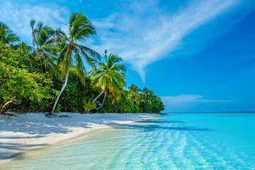 Tropical island beach landscape exotic shore coast. Tranquil closeup calm sea water waves with palm trees. Beautiful Panorama. Summer vacation, holiday amazing nature. Relax paradise, Maldives.