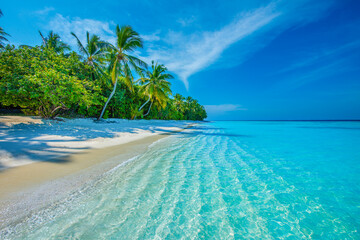 Tropical island beach landscape exotic shore coast. Tranquil closeup calm sea water waves with palm trees. Beautiful Panorama. Summer vacation, holiday amazing nature. Relax paradise, Maldives.