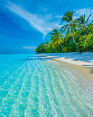Tropical island beach landscape exotic shore coast. Tranquil closeup calm sea water waves with palm trees. Beautiful Panorama. Summer vacation, holiday amazing nature. Relax paradise, Maldives.