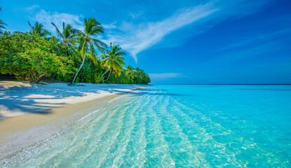 Tropical island beach landscape exotic shore coast. Tranquil closeup calm sea water waves with palm trees. Beautiful Panorama. Summer vacation, holiday amazing nature. Relax paradise, Maldives.