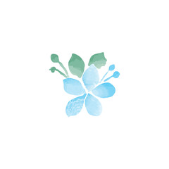 Obraz premium Watercolor Flower Design Blue green