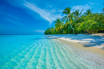 Tropical island beach landscape exotic shore coast. Tranquil closeup calm sea water waves with palm trees. Beautiful Panorama. Summer vacation, holiday amazing nature. Relax paradise, Maldives.
