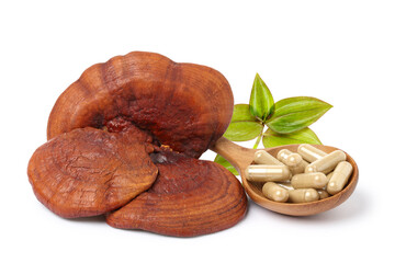 Lingzhi mushroom. lingzhi mushroom powder capsules in a wooden spoon with leaves. isolated on white background.
