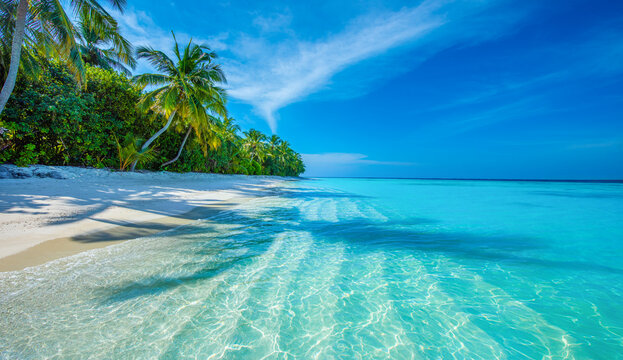 Tropical island beach landscape exotic shore coast. Tranquil closeup calm sea water waves with palm trees. Beautiful Panorama. Summer vacation, holiday amazing nature. Relax paradise, Maldives. - Powered by Adobe