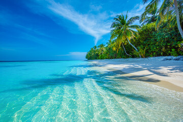 Tropical island beach landscape exotic shore coast. Tranquil closeup calm sea water waves with palm trees. Beautiful Panorama. Summer vacation, holiday amazing nature. Relax paradise, Maldives.
