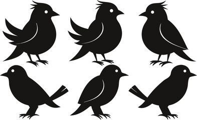 Fototapeta premium Six Black Bird Silhouettes on White Background birds
