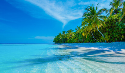 Tropical island beach landscape exotic shore coast. Tranquil closeup calm sea water waves with palm trees. Beautiful Panorama. Summer vacation, holiday amazing nature. Relax paradise, Maldives.