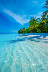 Tropical island beach landscape exotic shore coast. Tranquil closeup calm sea water waves with palm trees. Beautiful Panorama. Summer vacation, holiday amazing nature. Relax paradise, Maldives.