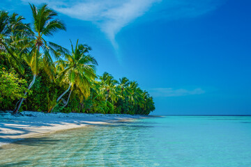 Tranquil closeup calm sea water waves with palm trees. Tropical island beach landscape exotic shore coast. Summer vacation, holiday amazing nature, Maldives.