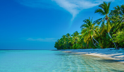 Tranquil closeup calm sea water waves with palm trees. Tropical island beach landscape exotic shore coast. Summer vacation, holiday amazing nature, Maldives.