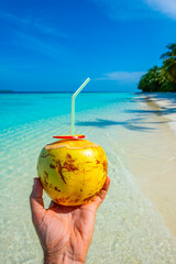 Tranquil closeup calm sea water waves with palm trees. Coconut is in the frame. Tropical island beach landscape exotic shore coast. Summer vacation, holiday amazing nature, Maldives.