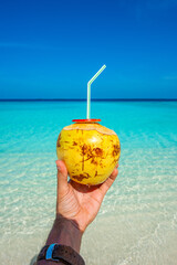 Tranquil closeup calm sea water waves with palm trees. Coconut is in the frame. Tropical island beach landscape exotic shore coast. Summer vacation, holiday amazing nature, Maldives.