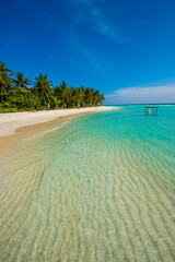 Tranquil closeup calm sea water waves with palm trees. Beautiful panorama view. Tropical island beach landscape exotic shore coast. Summer vacation, holiday amazing nature, Maldives.