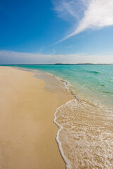 Tranquil closeup calm sea water waves with palm trees. Beautiful panorama view. Tropical island beach landscape exotic shore coast. Summer vacation, holiday amazing nature, Maldives.