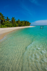 Tranquil closeup calm sea water waves with palm trees. Beautiful panorama view. Tropical island beach landscape exotic shore coast. Summer vacation, holiday amazing nature, Maldives.
