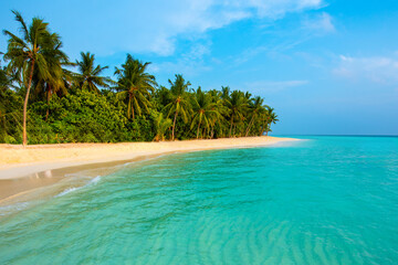 Tranquil closeup calm sea water waves with palm trees. Beautiful panorama view. Tropical island beach landscape exotic shore coast. Summer vacation, holiday amazing nature, Maldives.