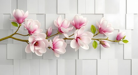 Photo of beautiful magnolia branch with pink and white flowers isolated on white background