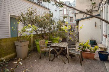 A selective focus shot of shelves with potted garden plants