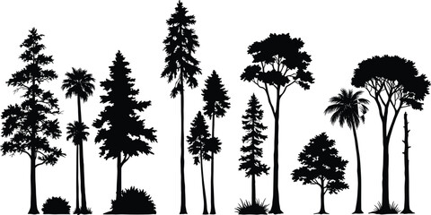 Collection of different tree silhouettes with tropical and forest varieties, detailed vector illustration for nature, landscape, environment, and botanical design art