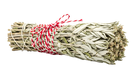 Gift - Bundle of dried sage tied with red and white string on white background, ideal for herbal decorations and spiritual cleansing rituals