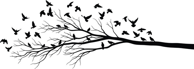 Fototapeta premium Bare Tree Branch with Flock of Flying Birds Silhouette Vector, Dynamic Nature and Freedom Graphic Design Element, Decorative Wildlife Wall Art, Minimalist Organic Illustration Isolated.