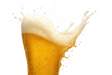 Beer splashing creating foam and drops, refreshing alcoholic beverage with bubbles, transparent background