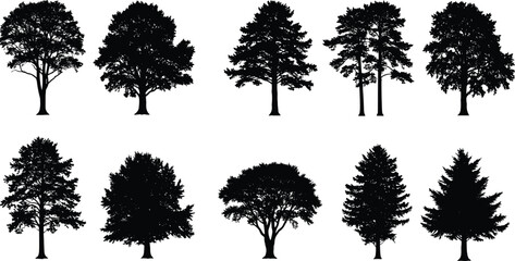 Collection of realistic black tree silhouettes, detailed vector illustration for nature, landscape design, forest scene, and environmental graphic artwork
