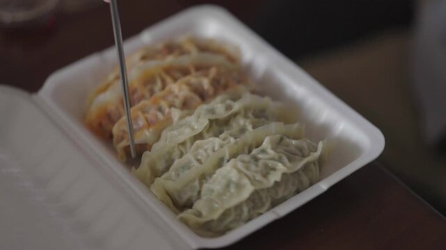 Korean Steamed Dumplings &ndash; Mandu Meal Close-up