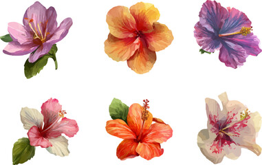 collage of flowers
