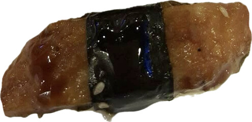 Roasted Eel Sushi, unagi sushi isolate on white background, die cut