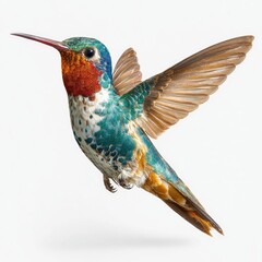 Fototapeta premium Vibrant hummingbird in flight nature reserve gigapixel image close-up view hyperrealism