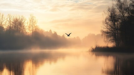 Obraz premium A single bird soars through a misty sunrise over a still lake, creating a serene and peaceful landscape.