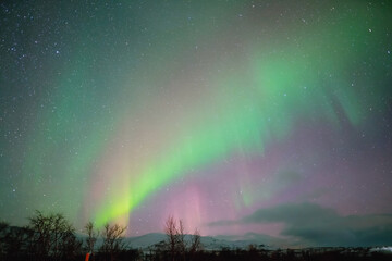 Northern Lights dance across Norway&rsquo;s night sky, painting green and purple hues over frozen landscapes, evoking awe and cosmic wonder.