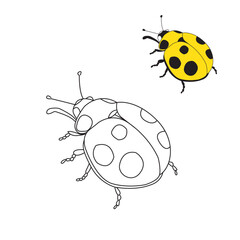 Ladybird Coloring Art